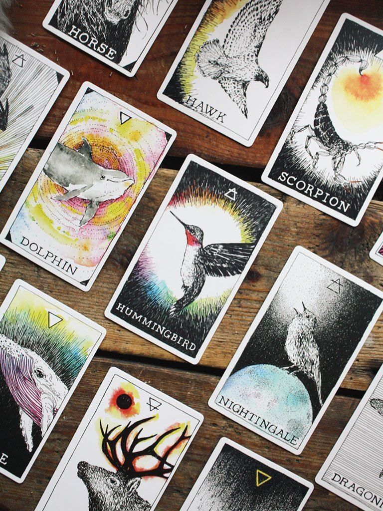 IC: The Wild Unknown Animal Spirit Deck And Guidebook