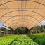 Instahut 50% Shade Cloth 3.66x10m Shadecloth Sail Heavy Duty Beige