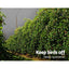 Instahut 50% Shade Cloth 3.66x10m Shadecloth Wide Heavy Duty White