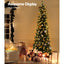 Jingle Jollys 1.8M Christmas Tree with Pre-Lit LED Lights Decoration 300 Tips