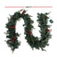 XM-TR-GAR-8FT-BERRY-LED-86880-01.jpg