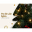 XM-TR-GAR-8FT-BERRY-LED-86880-05.jpg