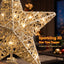 XM-TR-TOP-STAR-GD-06.jpg