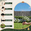 XMAS-PATH-FIRE-4PC-WM-06.jpg