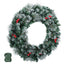 Jingle Jollys 60cm Christmas Wreath LED Lights Snowy Berries Garland Party Decor