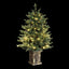 XM-TR-4FT-GR-LED-POT-202508271806-02.jpg