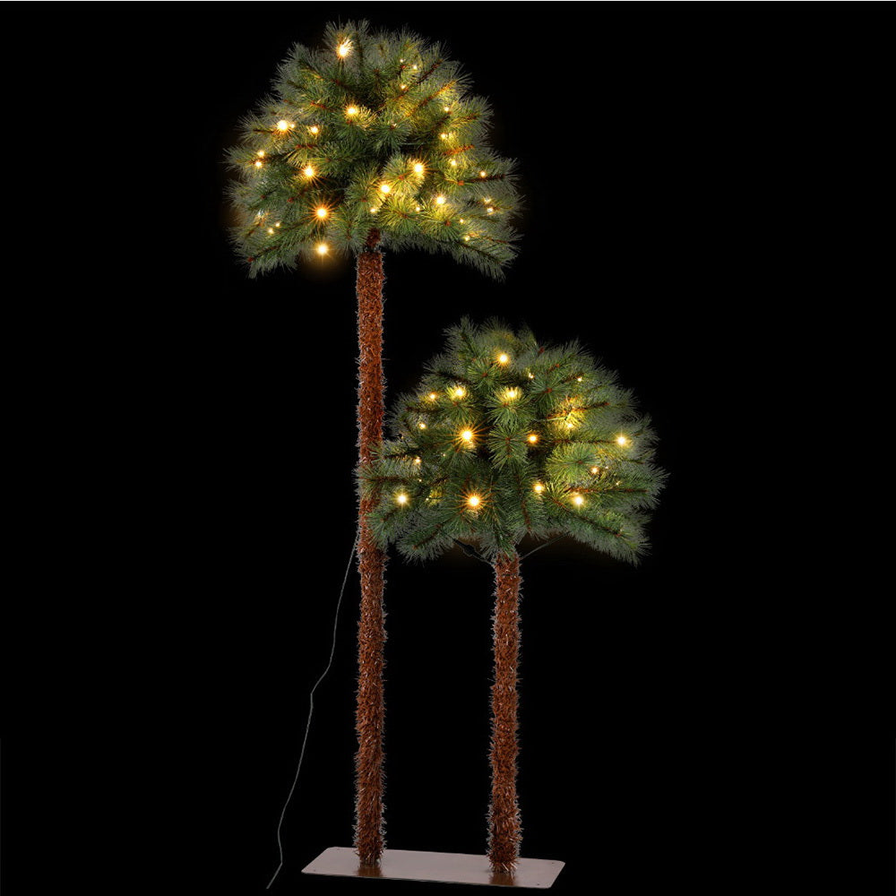 XM-TR-PALM-5FT-LED-190372-00.jpg