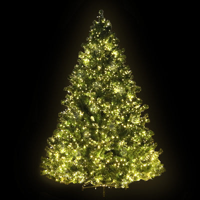 XM-TR-FULL-8FT-LED-18623-00.jpg