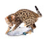 Jittering Sardine Cat Toy Flopping Dancing Fish + Catnip Silvervine Electric USB
