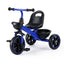 KID-TRIBIKE-68-BU-09.jpg