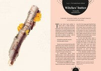 Kew - The Magic of Mushrooms