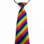 Kids Boys Multicoloured Patterned Elastic Neck Tie - Multicoloured Stripe