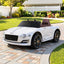 RCAR-EXP12-WH-00.jpg