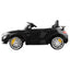 RCAR-AMGGTR-BK-03.jpg