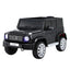 RCAR-G500-LS-BK-202505291206-00.jpg
