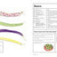 Kitchen Garden, The: Sowing, growing and cooking for the garden enthusiast