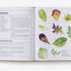 Kitchen Garden, The: Sowing, growing and cooking for the garden enthusiast