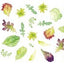 Kitchen Garden, The: Sowing, growing and cooking for the garden enthusiast
