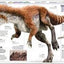 Knowledge Encyclopedia Dinosaur!: Over 60 Prehistoric Creatures as You've Never Seen Them Before