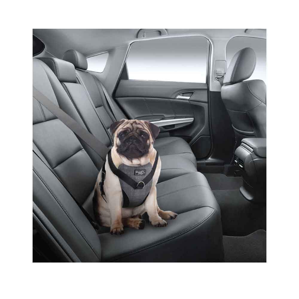 L Dog Harness 2 in 1 Combo - Car Travel Rides + Walks - No Pull Leash Seat Belt