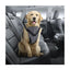 L Dog Harness 2 in 1 Combo - Car Travel Rides + Walks - No Pull Leash Seat Belt