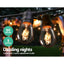 LIGHT-A-S14-50-WW-19602-02.jpg