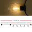 LIGHT-B-A19-70-WW-24682-01.jpg