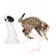 Laser Beam Cat Toy - Interactive Automatic Robot Pointer Pet Kitty Play - AFP