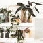 Leaf Supply Guide to Creating Your Indoor Jungle
