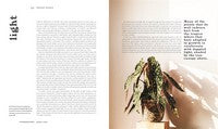 Leaf Supply Guide to Creating Your Indoor Jungle