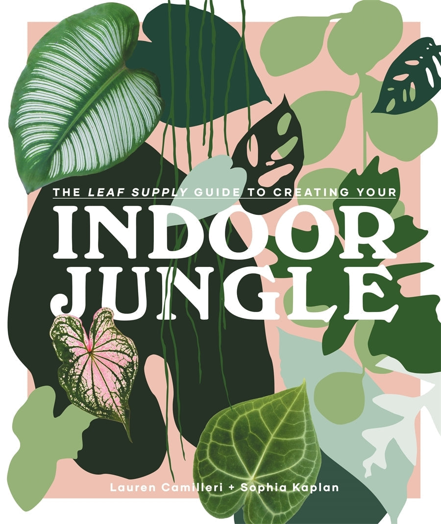 Leaf Supply Guide to Creating Your Indoor Jungle