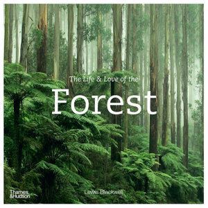 Life & Love of the Forest