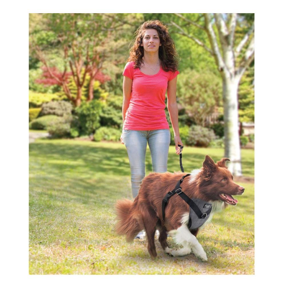M Dog Harness 2 in 1 Combo - Car Travel Rides + Walks - No Pull Leash Seat Belt