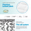 MATTRESS-0754-PT-KS-202601071806-05.jpg