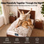 MATTRESS-B-HAVEN-25-S-05.jpg