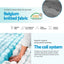 MATTRESS-BLACK-KS-202601071808-03.jpg