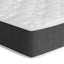 MATTRESS-D-PLW-S-90934-02.jpg