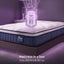 MATTRESS-F-SYNC-23-KS-09.jpg