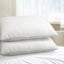 MATTRESS-SHED-PILLOWX2-202502281432-00.jpg