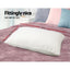 MATTRESS-SHED-PILLOWX2-202502281432-01.jpg