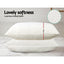 MATTRESS-SHED-PILLOWX2-202502281432-02.jpg