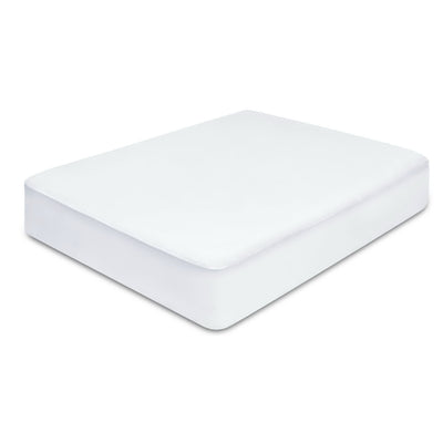 MP-BAM-Q-4951-00.jpg