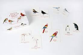 Match a Pair of Birds