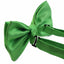 Mens Apple Green Plain Coloured Checkered Bow Tie