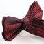 Mens Black & Red Fire Patterned Bow Tie