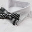 Mens Black & White Diagonal Striped Bow Tie