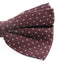 Mens Brown With White Star Cotton Bow Tie
