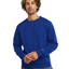 Mens Champion Surf The Web Blue Everyday Casual Sweathshirt