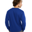 Mens Champion Surf The Web Blue Everyday Casual Sweathshirt