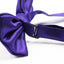 Mens Dark Purple Plain Coloured Checkered Bow Tie
